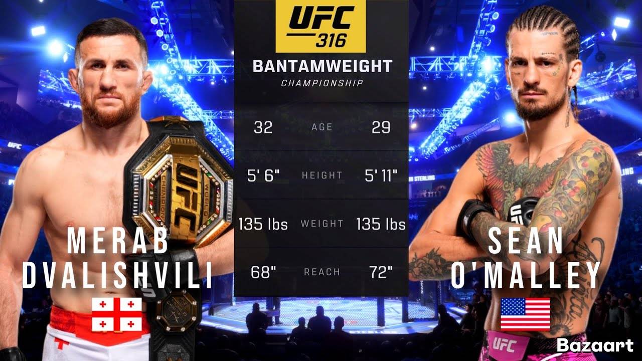 МЕРАБ ДВАЛИШВИЛИ ПРОТИВ ШОНА О'МЭЛЛИ ПОЛНЫЙ БОЙ UFC 316