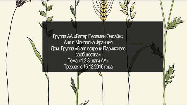 Аня г. Монпелье Франция. Тема "1,2,3 шаги программы АА" Трезвая с 16.12.2016 года