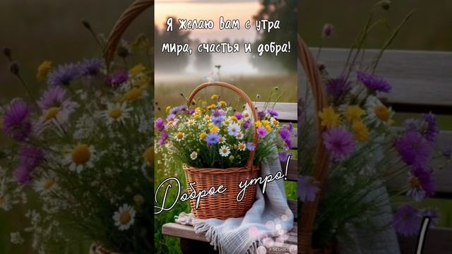 Доброе утро 💖Прекрасного воскресного утра 🌝💝
