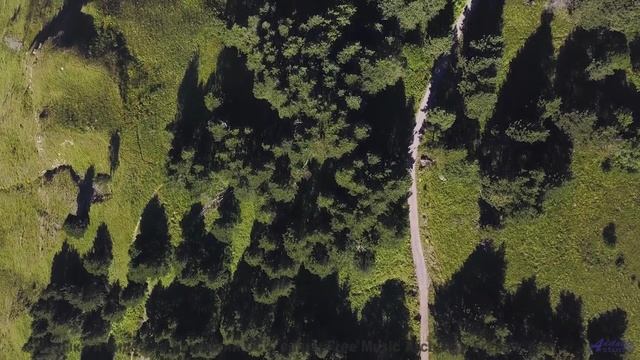 Эта музыка превращает заправку в середине ночи в свидание - Swirl Me in Your Mind -- Ayla Nereo -- P