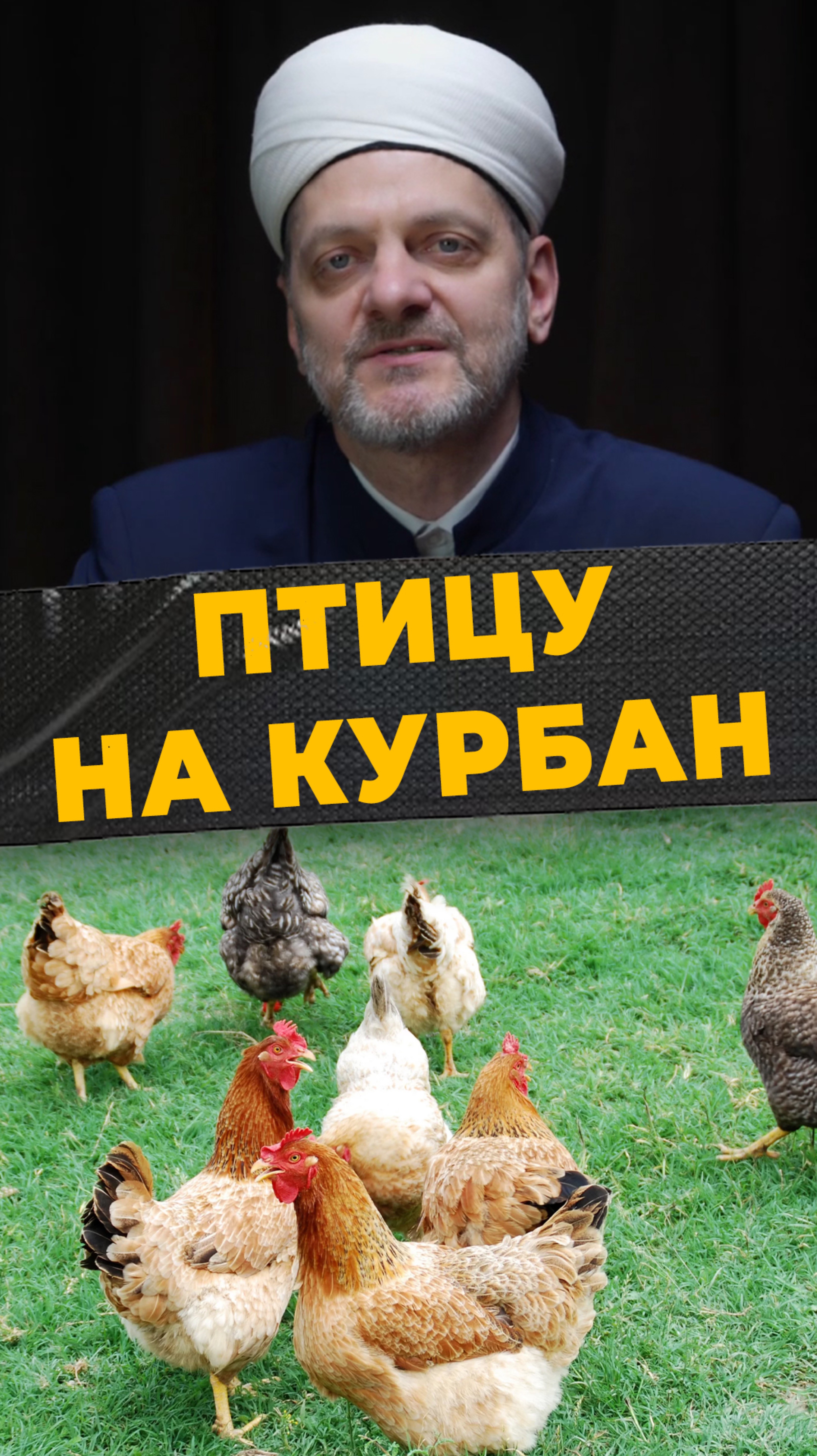 КУРБАН ИЗ ПТИЦЫ
#мирадио