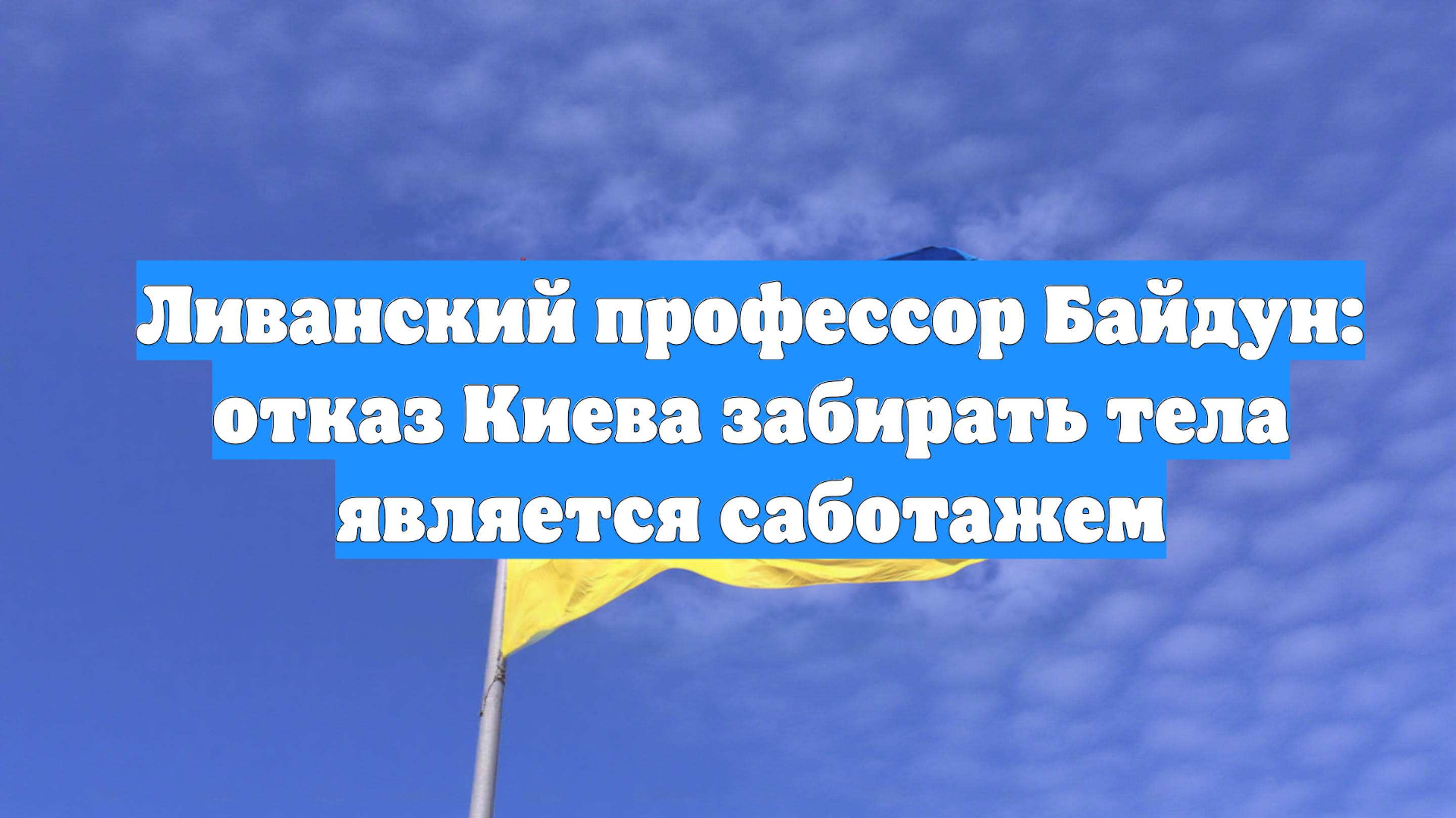 Ливанский профессор Байдун: отказ Киева забирать тела является саботажем