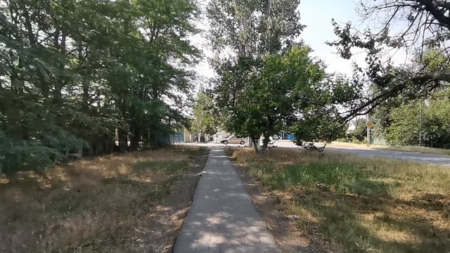 Дорожка в тени деревьев | Прогулка