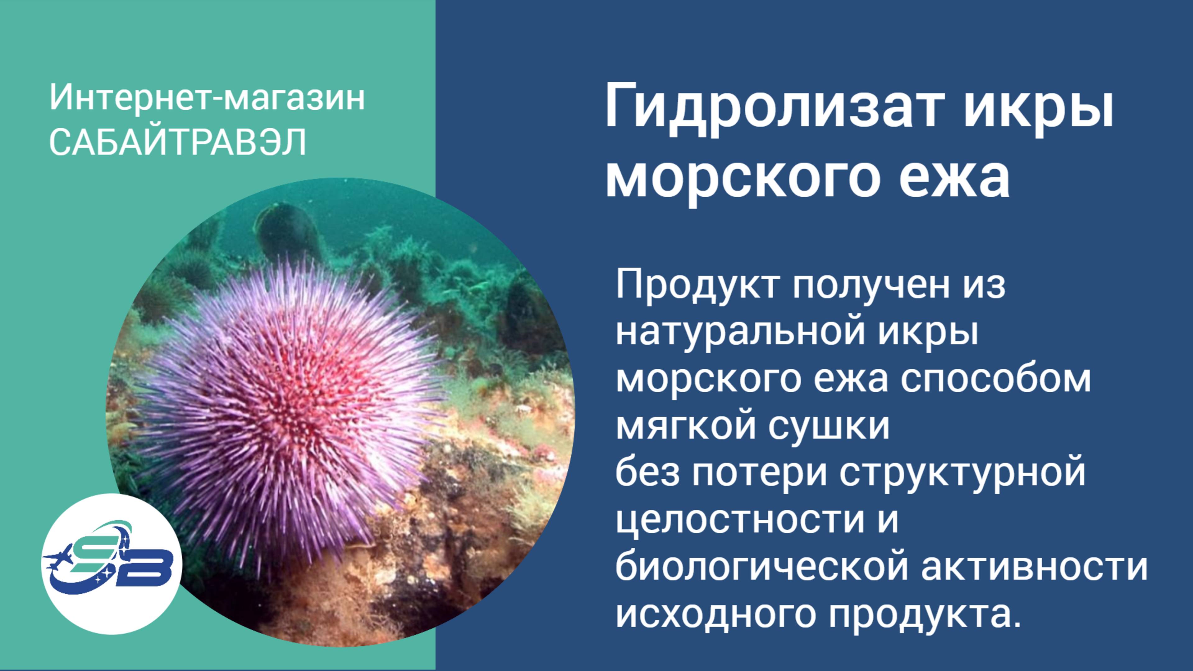 Гидролизат икры морского ежа