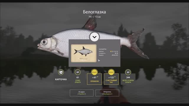 Рыбы с карточками в игре Русская рыбалка 2, фидерная коллекция, Белоглазка