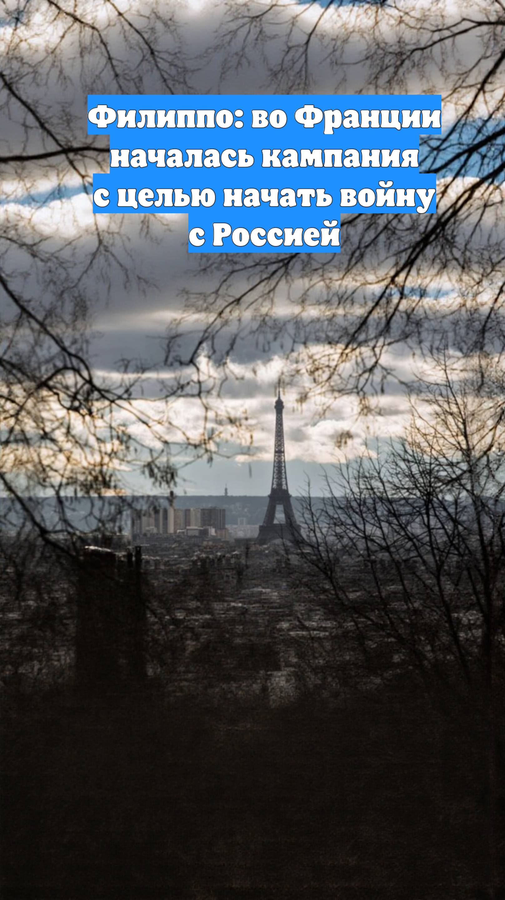 Филиппо: во Франции началась кампания с целью начать войну с Россией