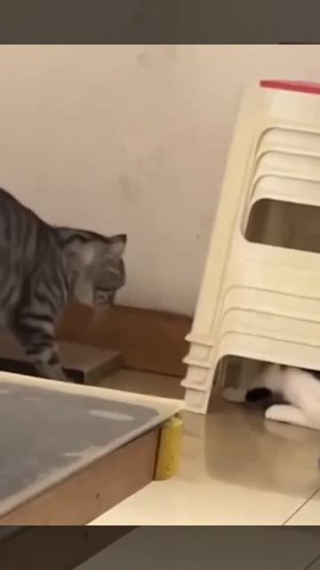 Главное,вовремя найти укрытие 🤩😻💖