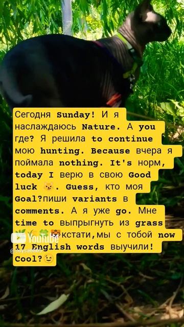 ПРОСТОЙ СПОСОБ ВЫУЧИТЬ АНГЛИЙСКИЙ. 3 серия😼