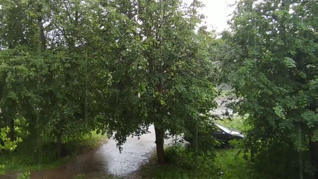 Вот такая дребедень целый день