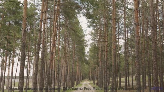 Это видео создано для жителей 3023 года - но доступно вам сейчас! - Difference -- Ketsa -- Abundance