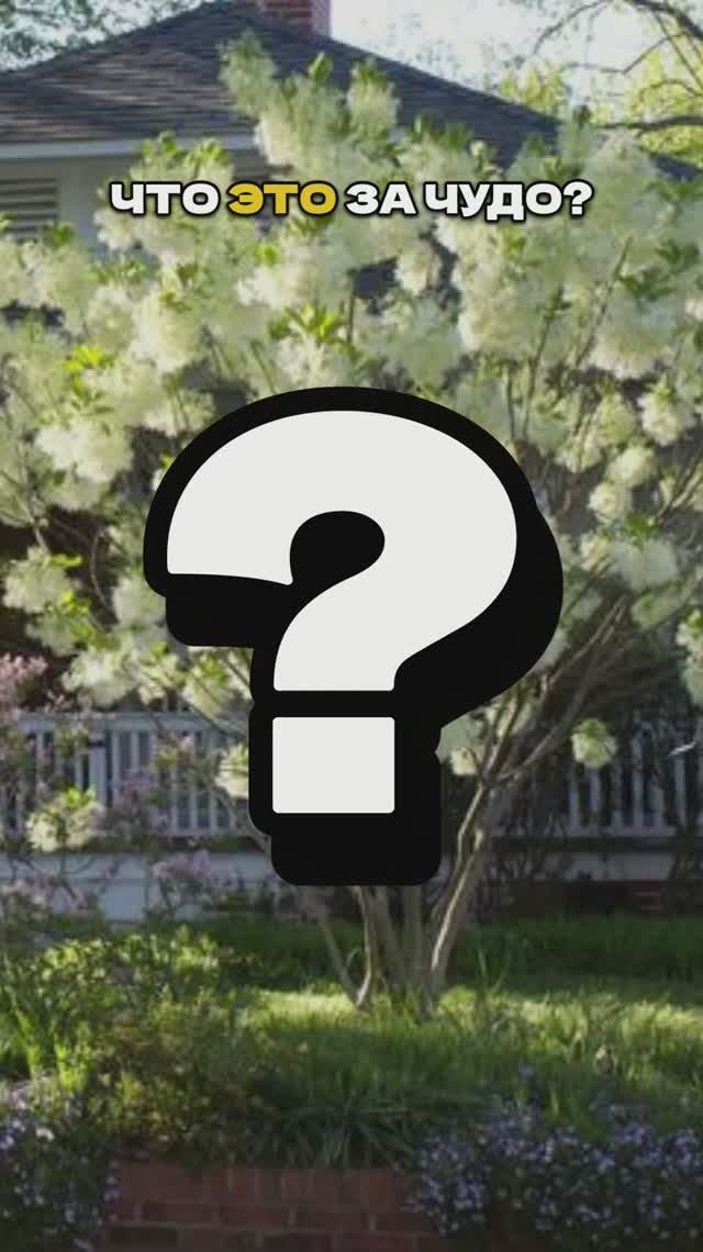 Почему Никто Не Сажает ЭТО?!🌸❓