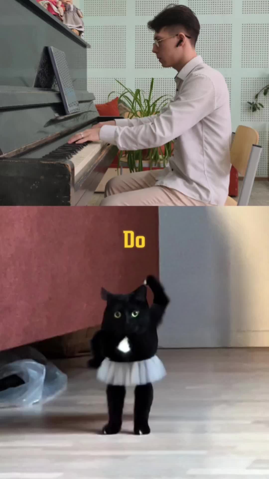 I taught the cat to dance