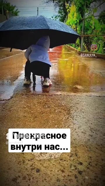 прекрасное вокруг