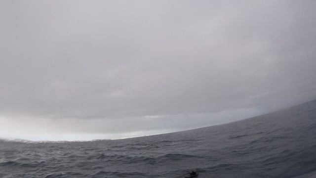 GOPR2885