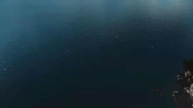 ЛЕТНИЕ СНЫ. МИР ПОЕТ О ЛЕТЕ.