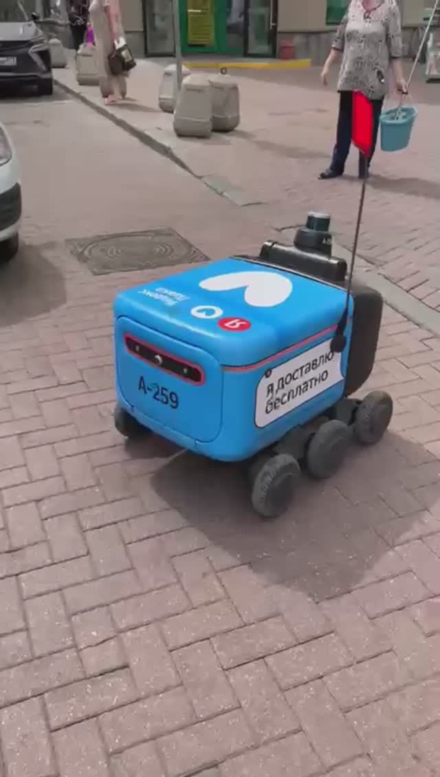 Робот и Турандот