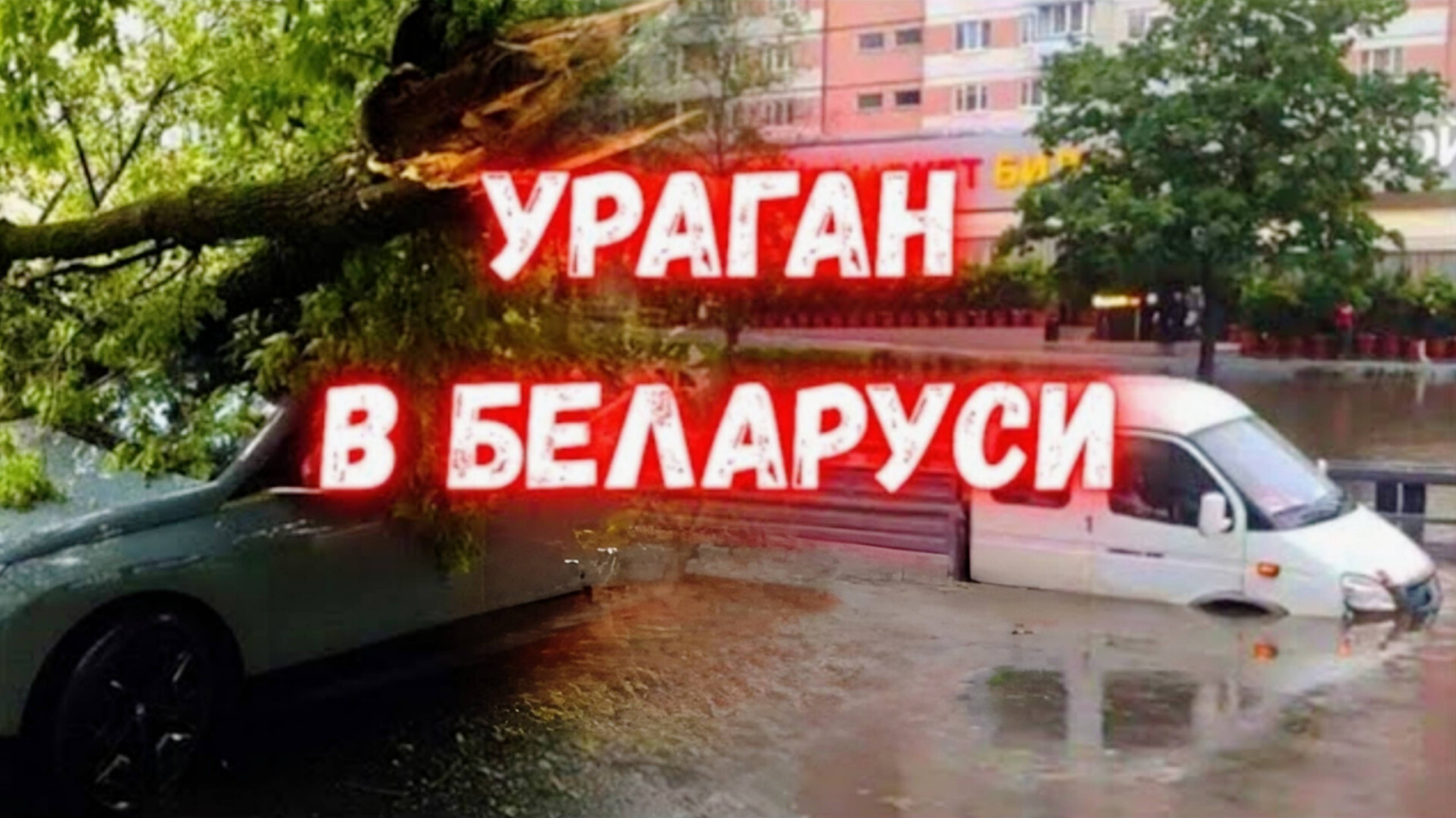 Ураган в Беларуси улицы превратились в реки ,ветер валил деревья.                 Новости и СМИ.