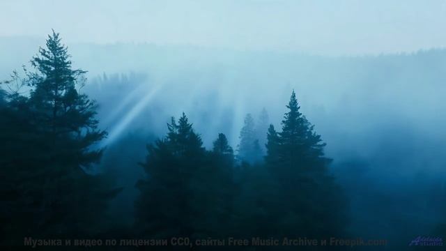 Вы заслужили этот момент покоя - включите и наслаждайтесь! - Disturbing Hybrid -- One Man Book -- Li