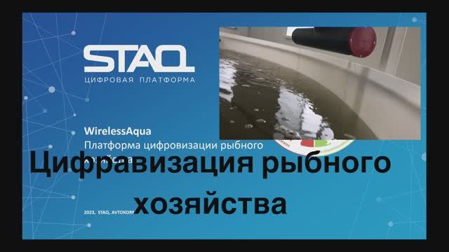 Платформа цифровизации  рыбного хозяйства