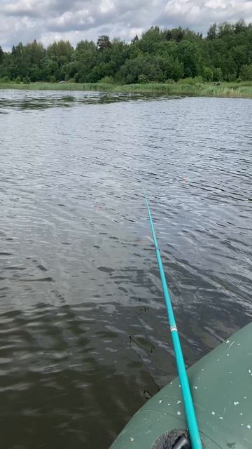 На рыбалке 🎣 #рыба #рыбалке #нарыбалке #рыбалканаудочку #нарыбалку #карась #карасьнаудочку