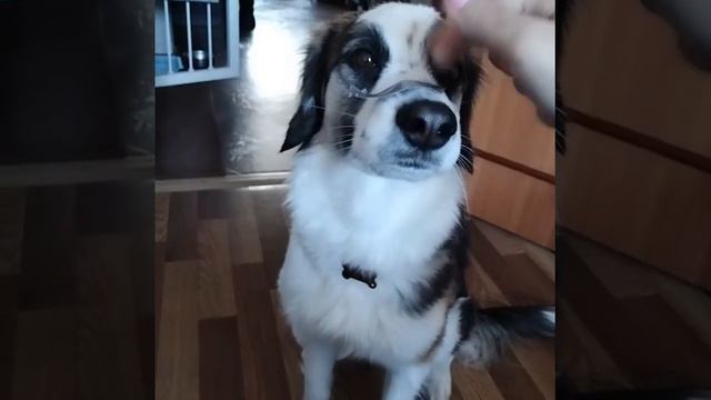 1000310544.mp4