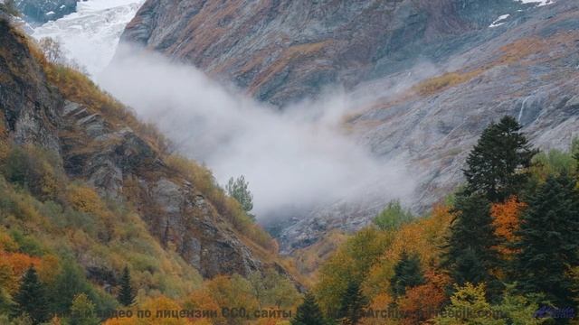 Вы не видели воду такой живой, пока не нажали Play! - INFELIZ NAVIDAD (feat. INSOMNIA IS DEAD) -- Co
