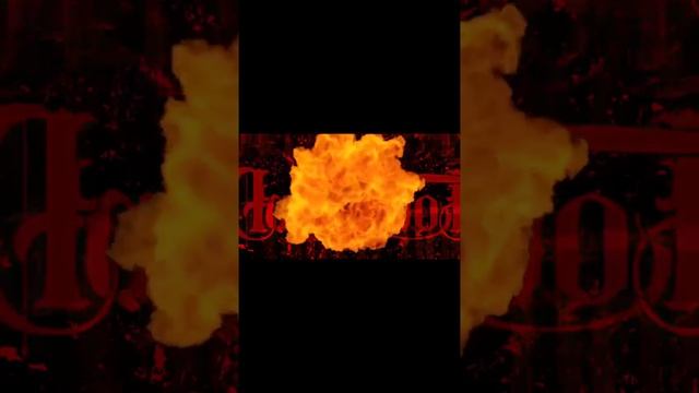 video_resized_watermarkless