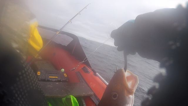 GOPR2895