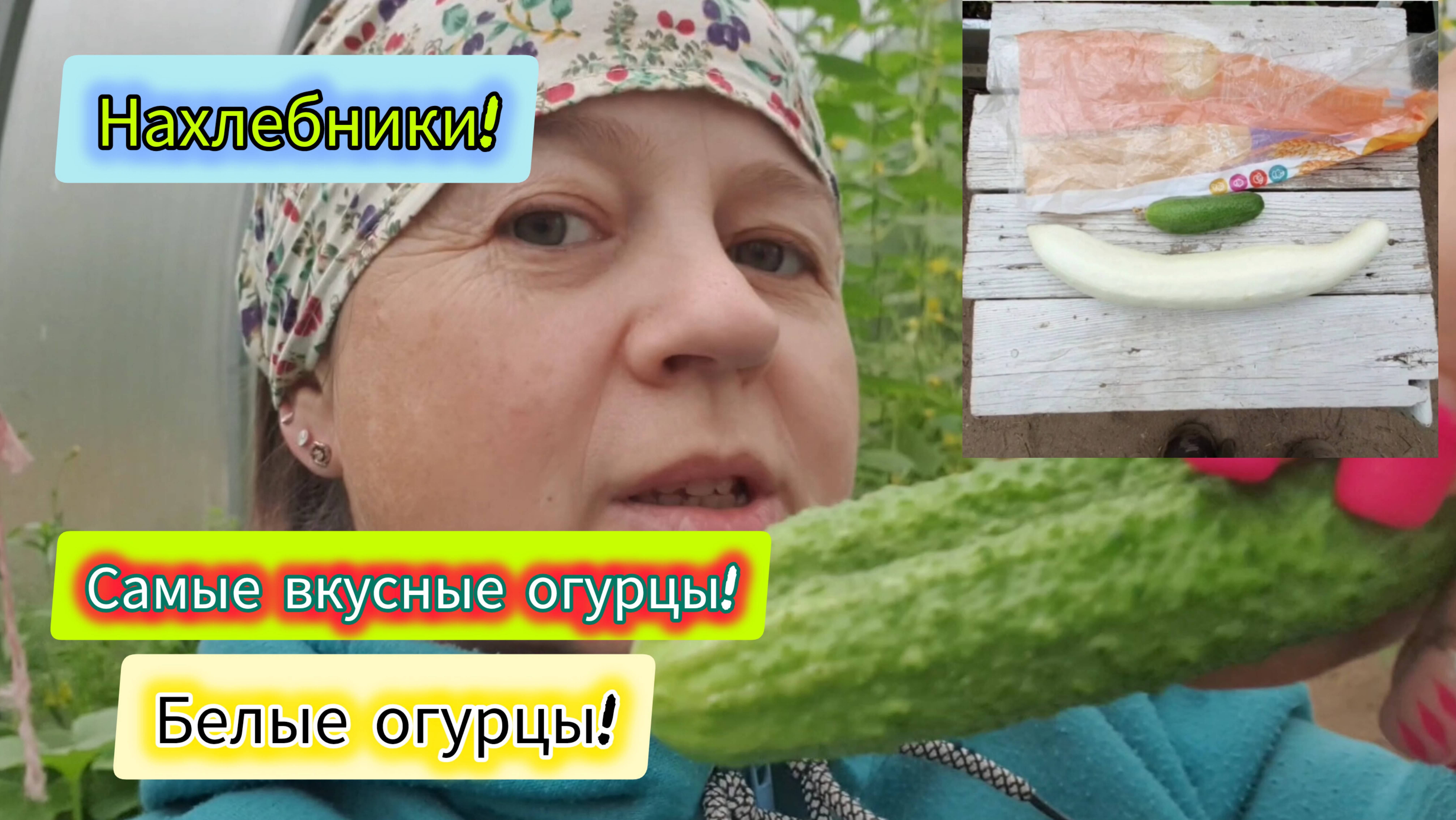 10.08.2024 ч.2я Я РАЗОЗЛИЛАСЬ и ВСЁ выкопала!😠 Мышей нет!🦇СТРАШНАЯ МОСЬКА!😨 Ни одной 🌟