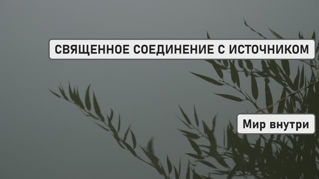 СВЯЩЕННОЕ СОЕДИНЕНИЕ С ИСТОЧНИКОМ | Медитация Пробуждения Внутреннего Света