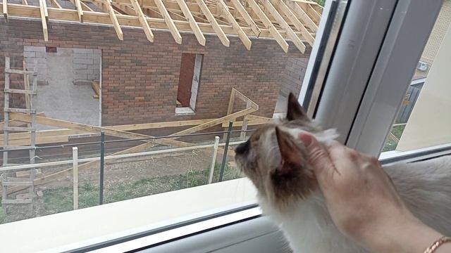 наш дом наша крепость 🏘