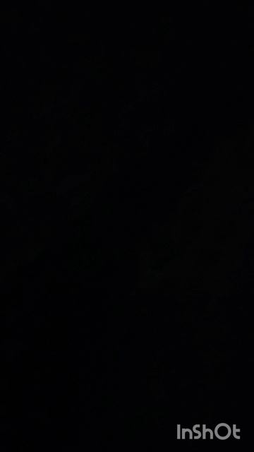 1000072031.mp4