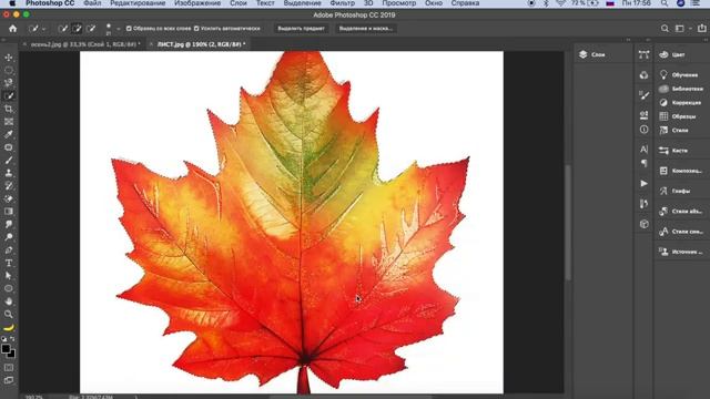 Фотошоп волшебная палочка как пользоваться | Быстрое выделение | Photoshop для начинающих | Урок 8
