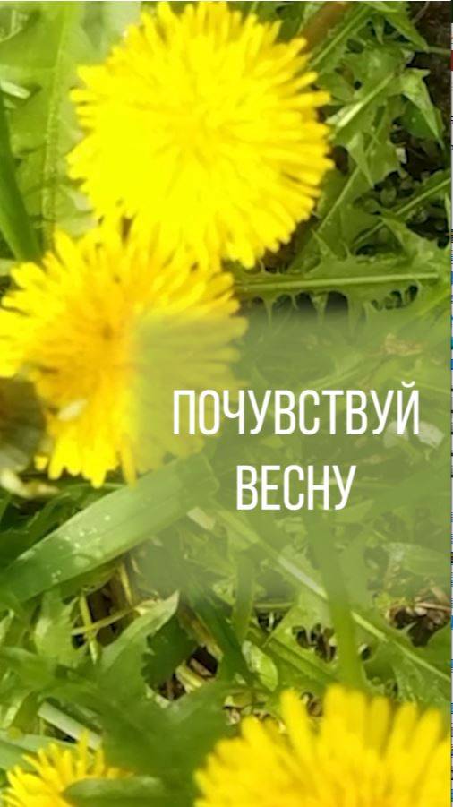 Почувствуй весну