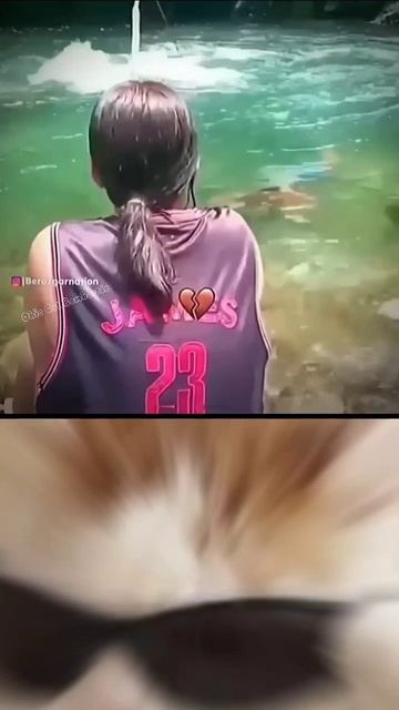 Cat funny #fyp #viral #funny #meme #cat #shorts #Rushorts