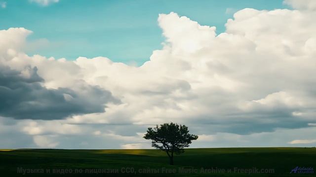 Леса открываются, как книга, под этот трек - Find A Way -- Small Tall Order -- Easily