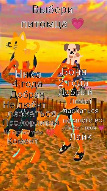 🐶или🐱