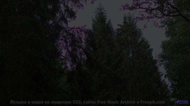 Видео, которое нельзя смотреть без нейроимплантов - или можно - East Coast Bays -- Hope and Social -