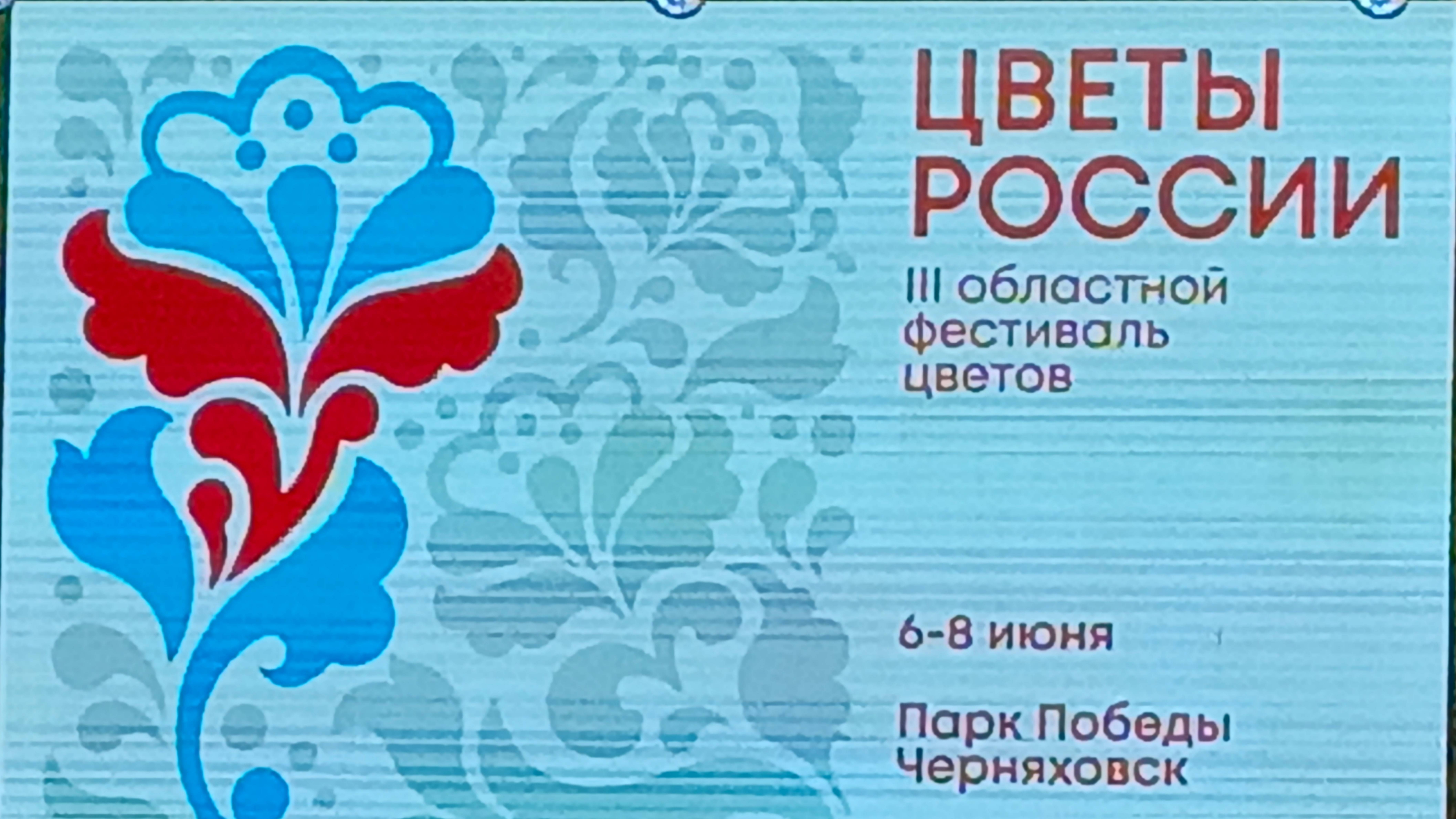Фестиваль ,,Цветы России" г. Черняховск. 08.06.2025г.