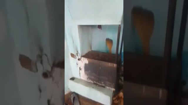 1000030994.mp4