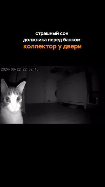 Страшный сон должника - коллекторы не спят!
