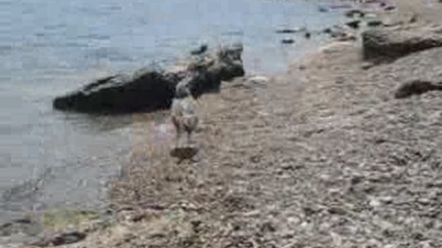 море, водная гладь