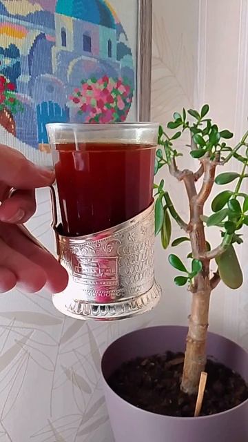 немного бодрости😁