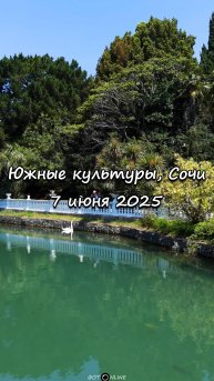 Парк Южные культуры, Сириус, Сочи. 7 июня 2025