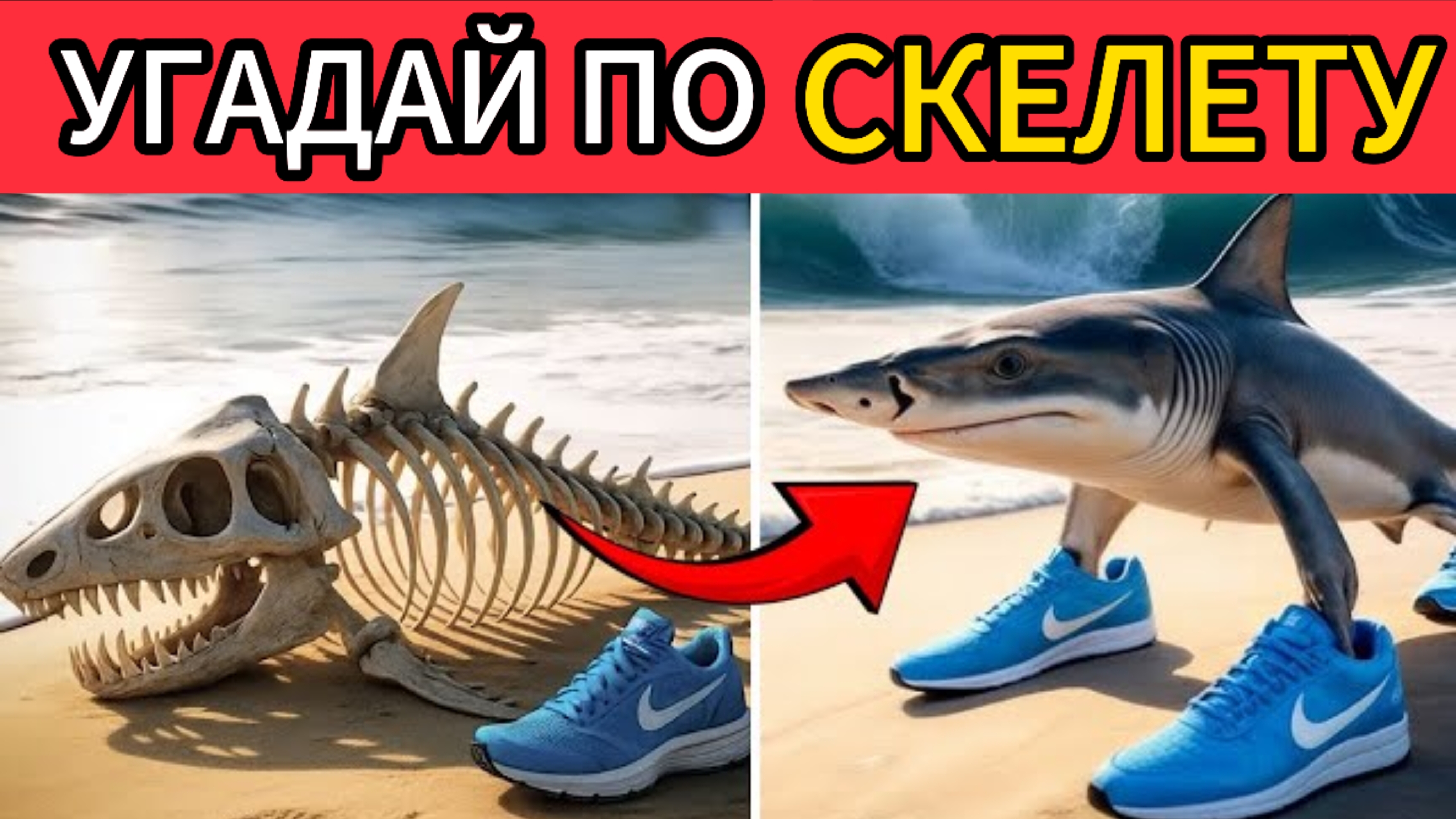 УГАДАЕШЬ ИТАЛЬЯНСКОЕ МЕМ ЖИВОТНОЕ ПО СКЕЛЕТУ?!