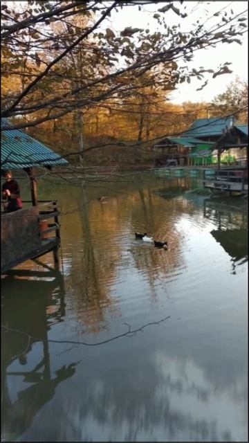 Лоо (Сочи)
