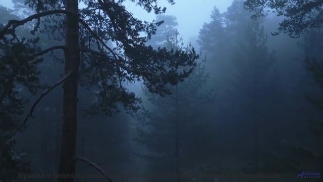 Пейзажи двигаются в ритме чистой свободы - Бабушки -- Александр Недугин -- Министерва Любви