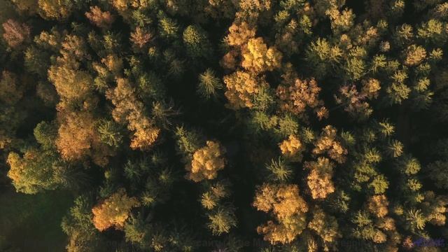 Музыка пробуждает забытые чувства за секунды - Testing -- Ketsa -- The Lost Files