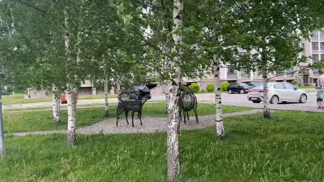 My live. А за окном - июнь.