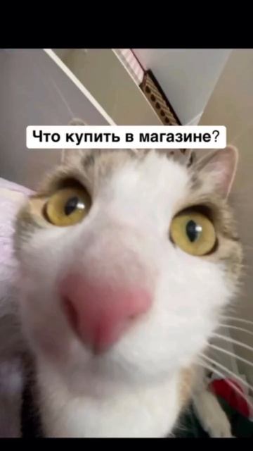 Юмор